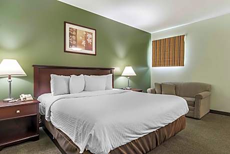 1 King Bed - Non - Smoking