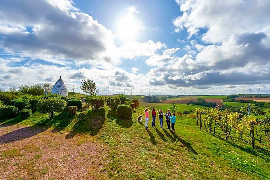 Dohlmühle Hotel & Weingut