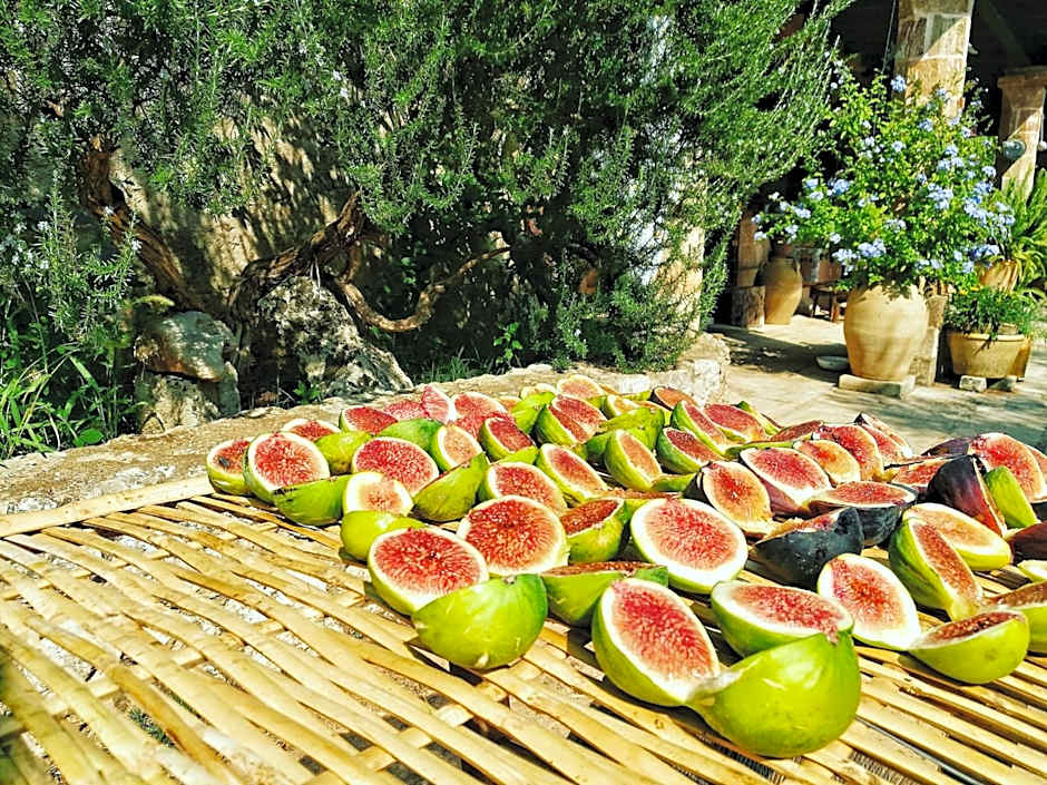 Masseria Borgo del Gallo