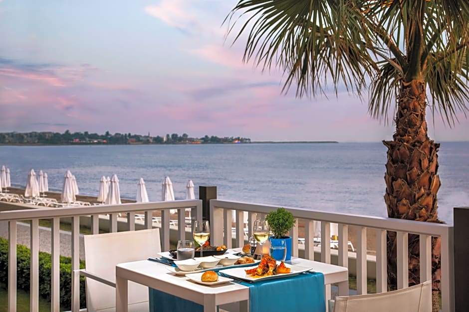 Acanthus and Cennet Barut Collectio