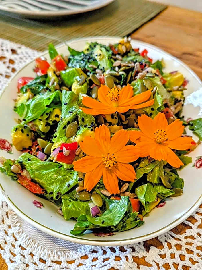 Casa das Irmãs - Só Mulheres - Women Only