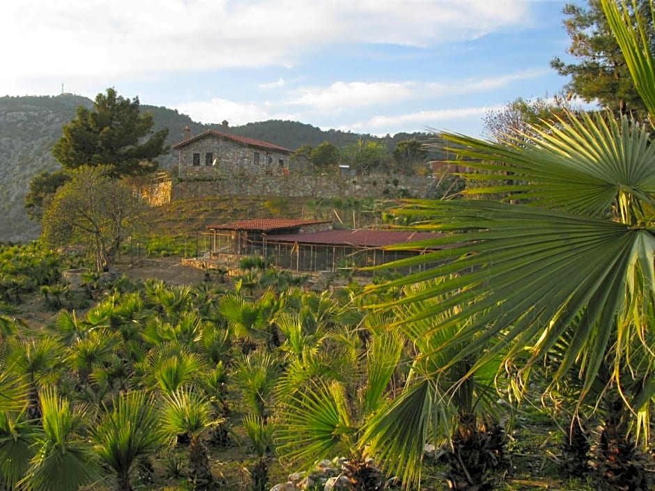 Palm House Dalyan