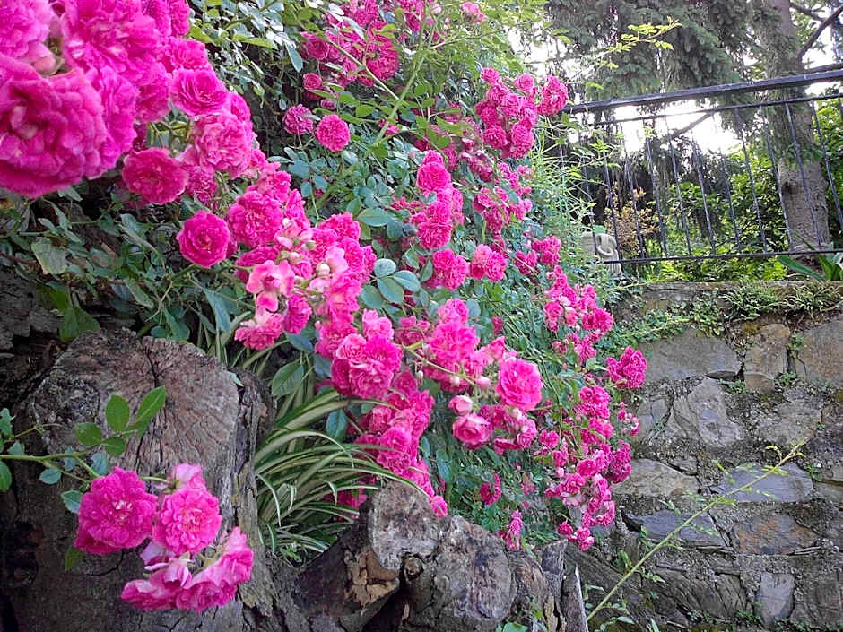 B&B I Glicini