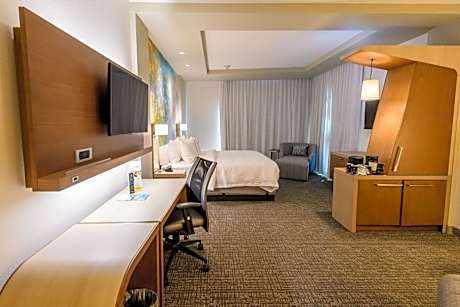 Large King Room with Sofa Bed