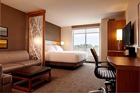 Standard King Room with Sofa Bed