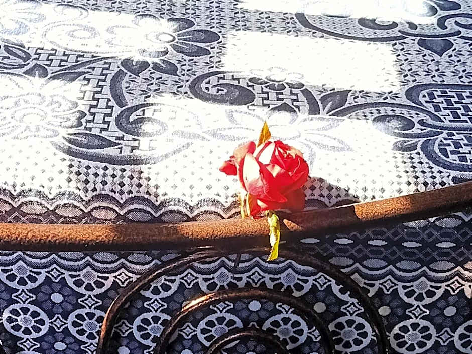 Nuba Tod Abouda Guest House