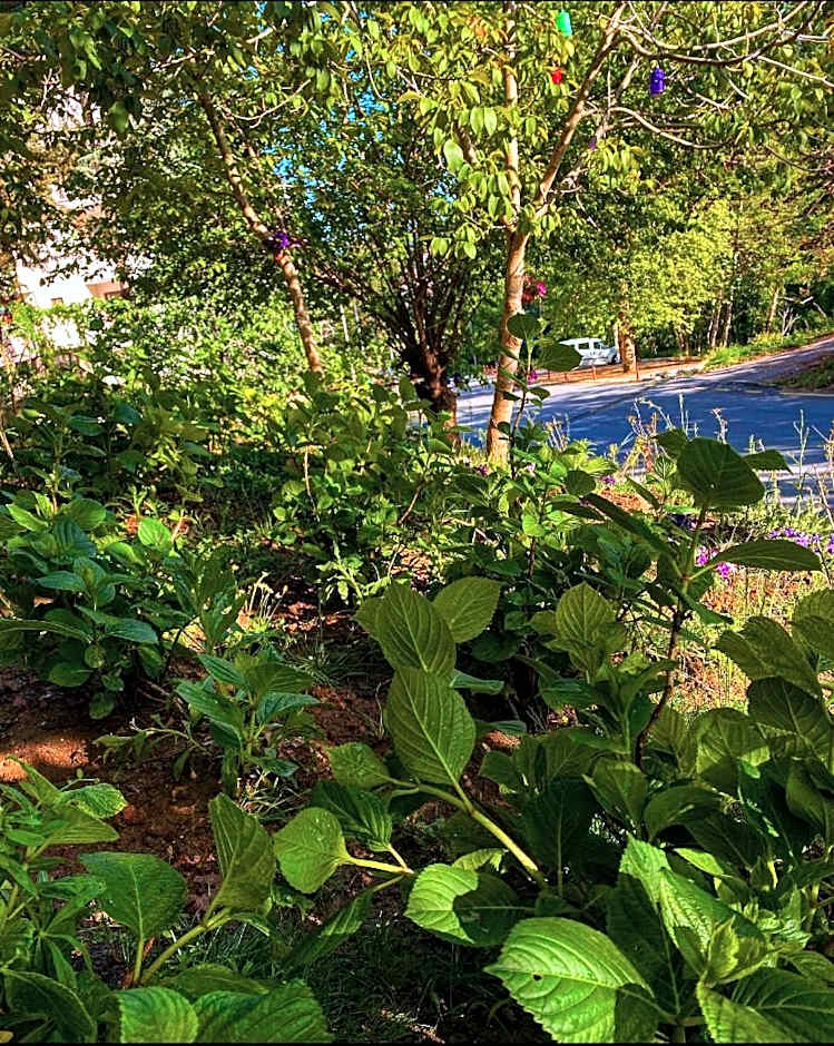 Kapri Termal Hotel & Kaplica Yalova