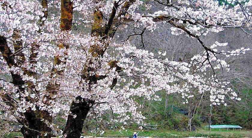 Kaziya Bekkan Ramatkor Yamaneko Yado