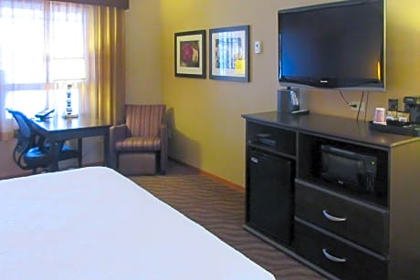 1 King Bed No-Smoking Room