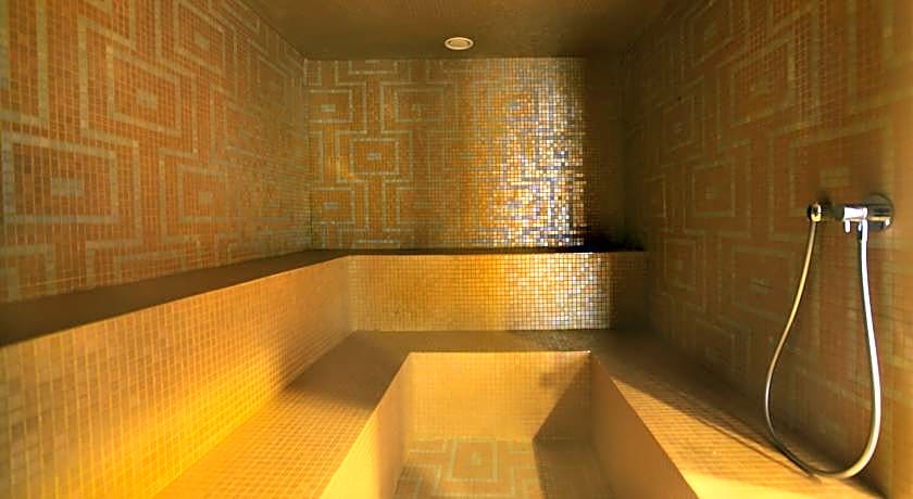 Hotel Zdraviliski dvor