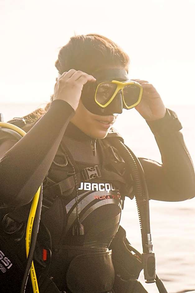 Single Fin Surf Hostel