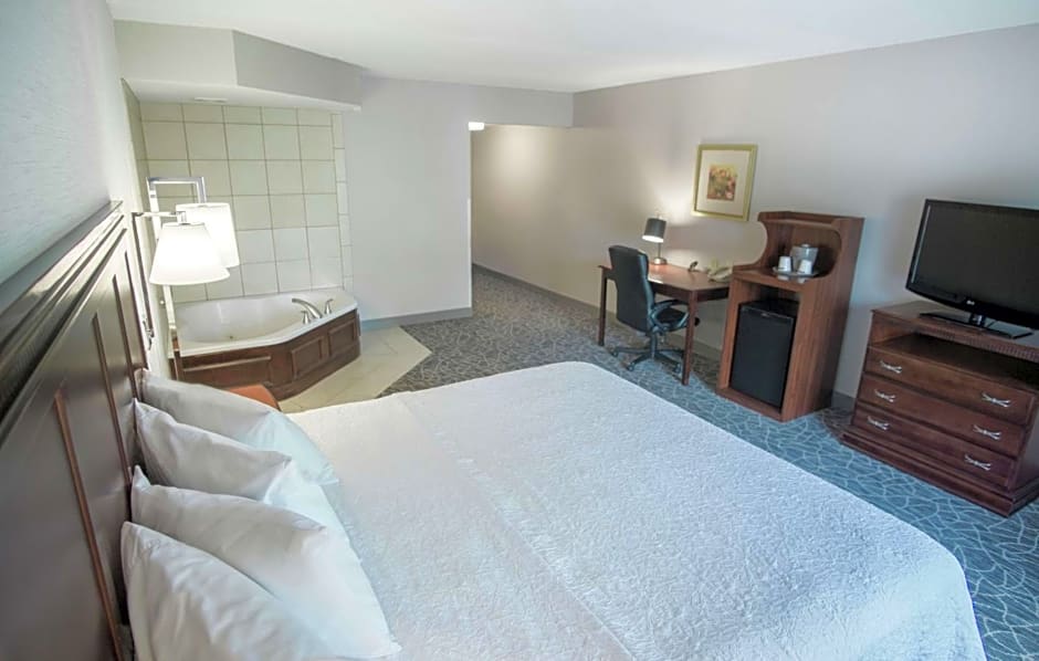 Hampton Inn By Hilton & Suites Berkshires-Lenox