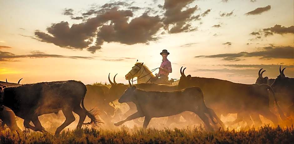 APPART'ICI 4 - Spacieux appartement F3