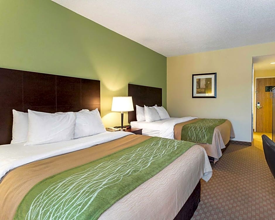 Comfort Inn Horn Lake - Southaven