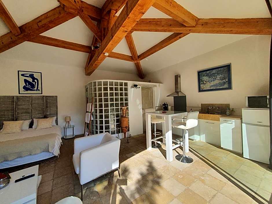 Mas au C¿ur de La Provence & SPA