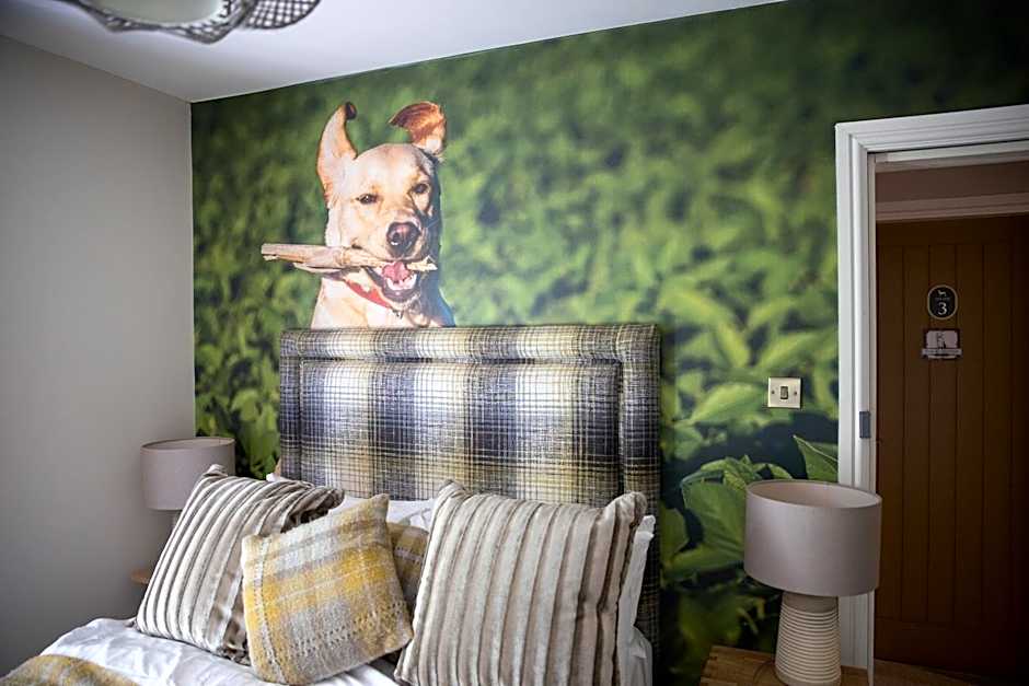 The Dog in Over Peover