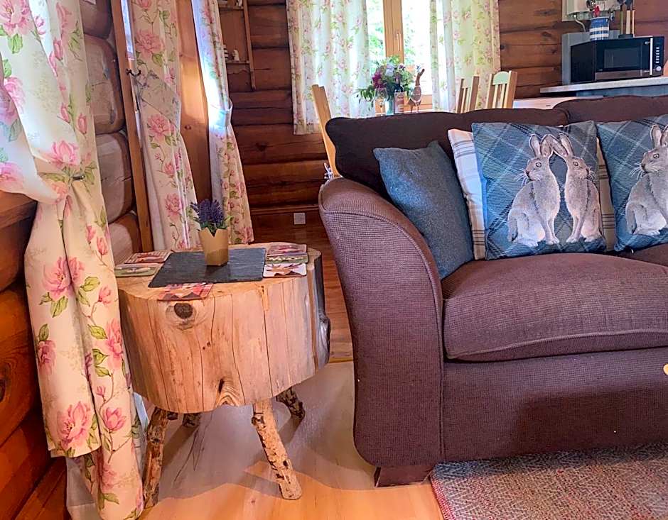 Log home village