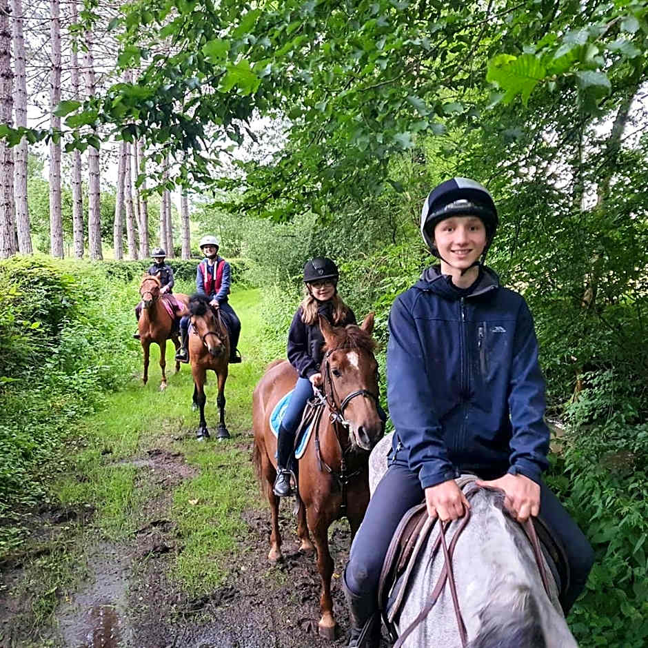 Ferme équestre & Chambres d'hôtes Gateau Stables proche Guédelon