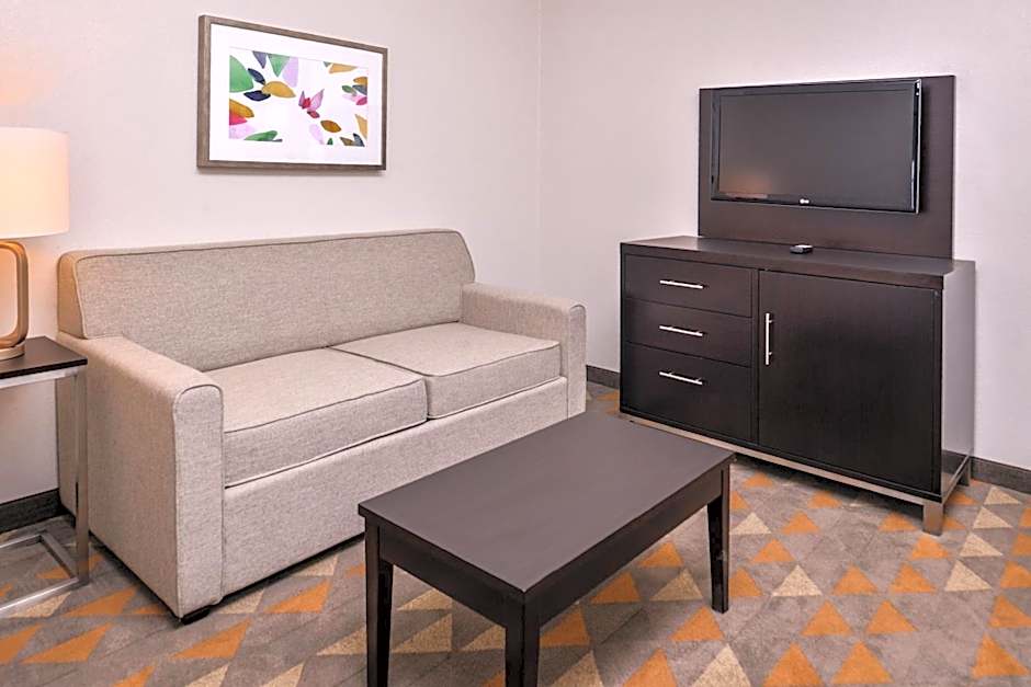 Holiday Inn and Suites Dallas-Addison By IHG
