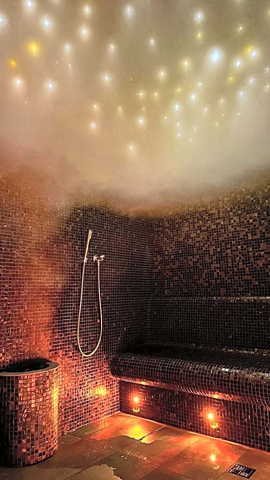 LH Parkhotel Hluboka Nad Vltavou Congress & Wellness