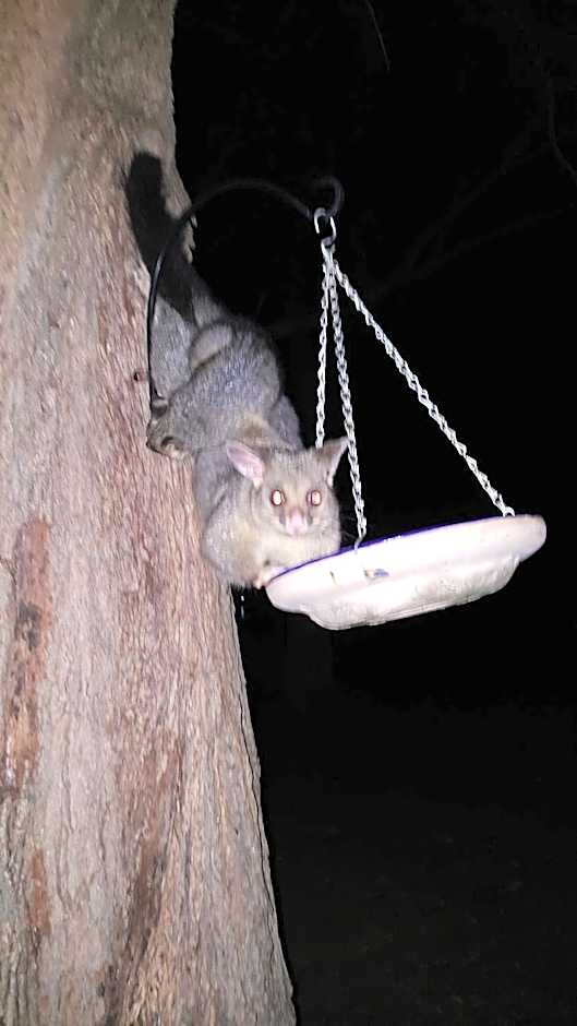 The Sanctuary at Paradise Beach B&B