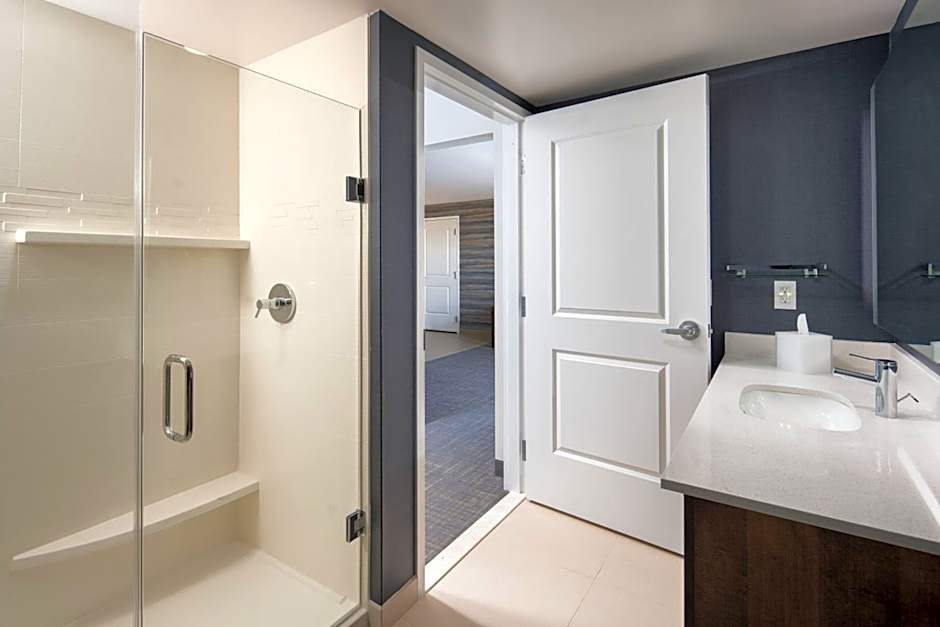 Residence Inn by Marriott Tampa Wesley Chapel