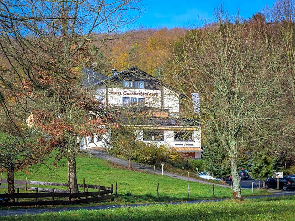 Natur & Wander Hotel Gassbachtal