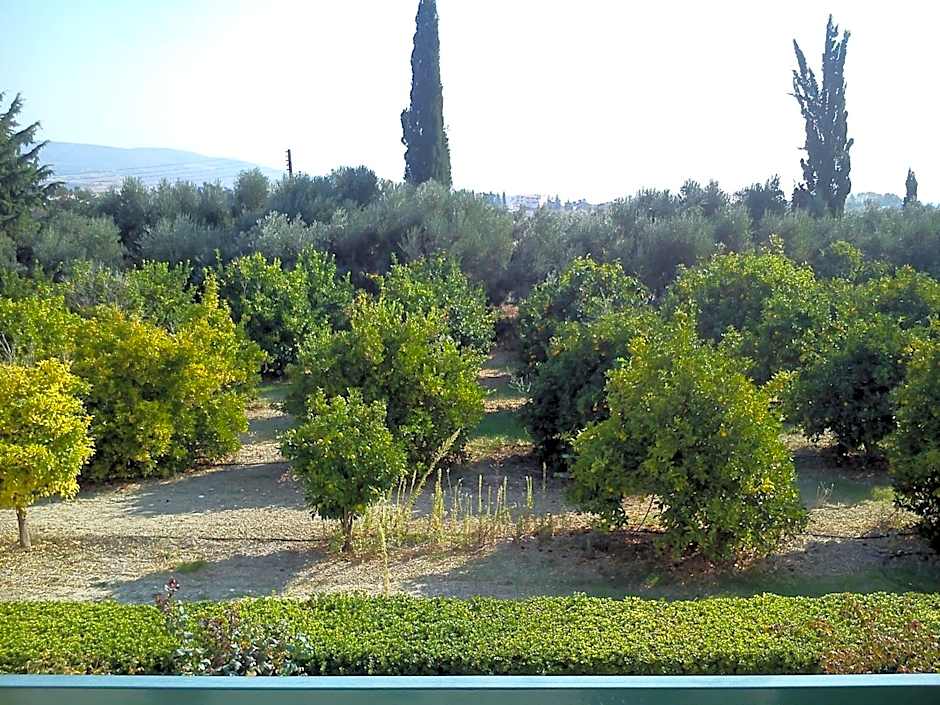 Natura Beach Hotel And Villas