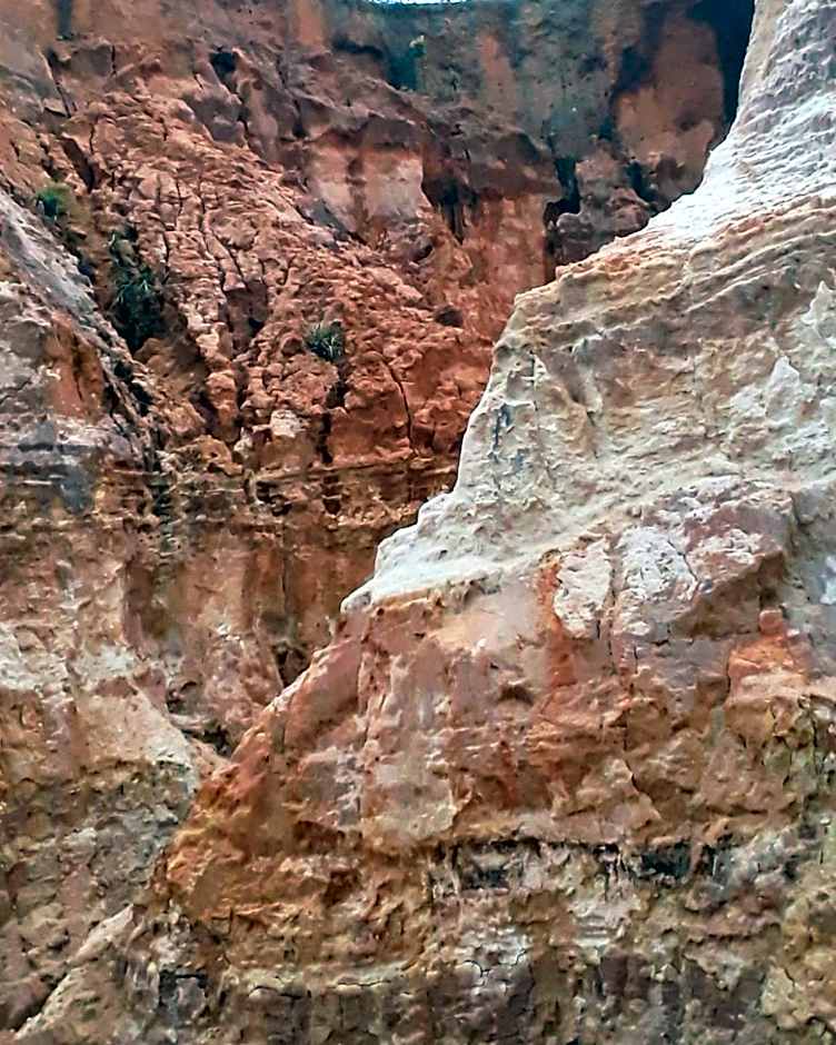 Pelados Beach Hostel