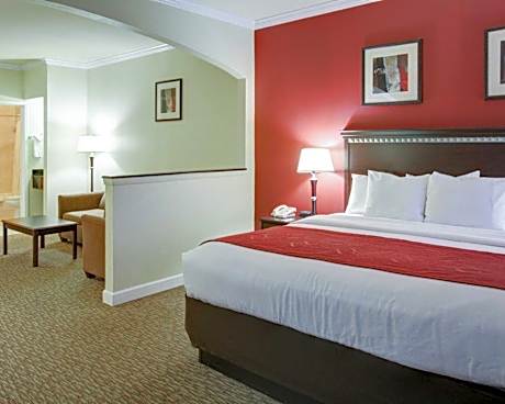 1 King Bed, Suite, Nonsmoking