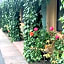 Monterey Oceanside Inn