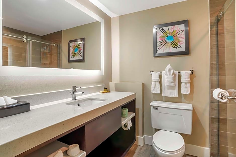 Best Western Plus Greenville I-385 Inn & Suites