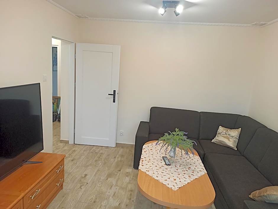 APARTAMENT CENTRUM Międzychód