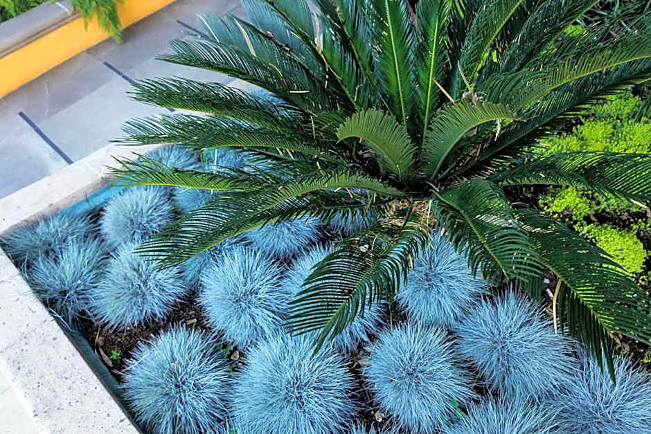 Hotel Hacienda Montesinos