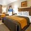 Comfort Inn & Suites Henderson - Las Vegas