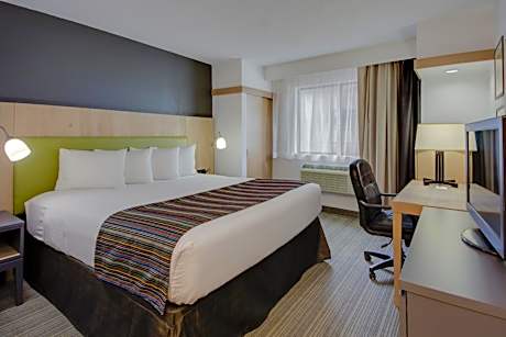 King Room with Roll-In Shower - Disability Access
