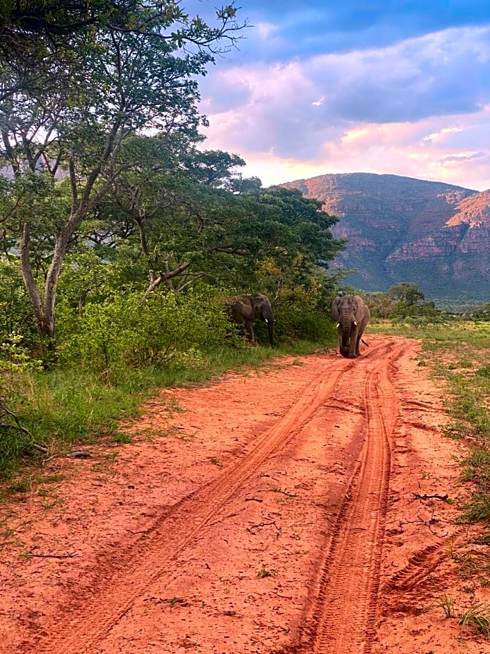 EndCliff Safari Lodge and Spa