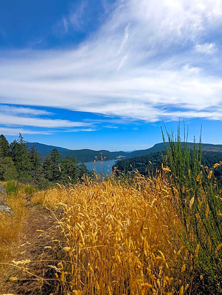 Maple Rise Guesthouse