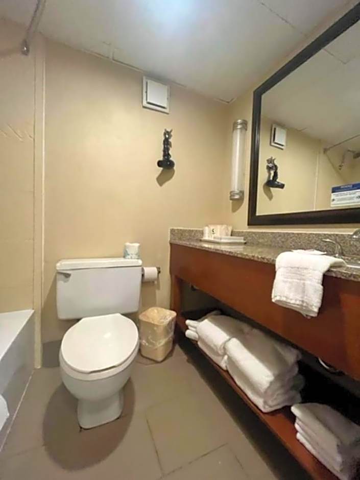 Comfort Inn Bloomington near University