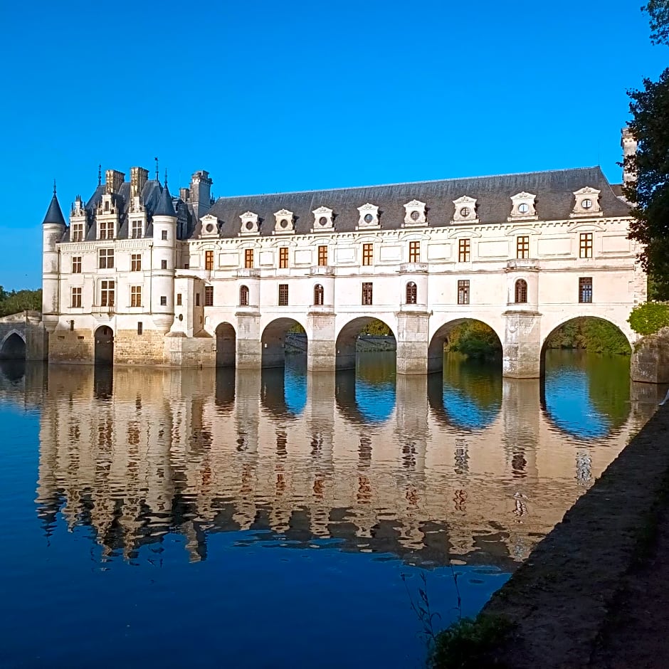 Au Nom des Dames, Maison et Table d'Hôtes, près de Chenonceau et du Zoo de Beauval