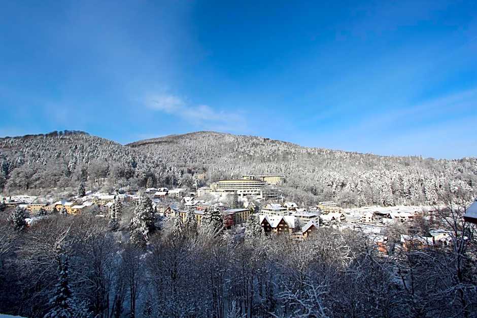 Schwarzwald Panorama