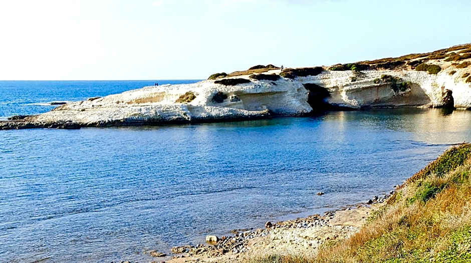 Palmas Anna's rooms Is Procilis