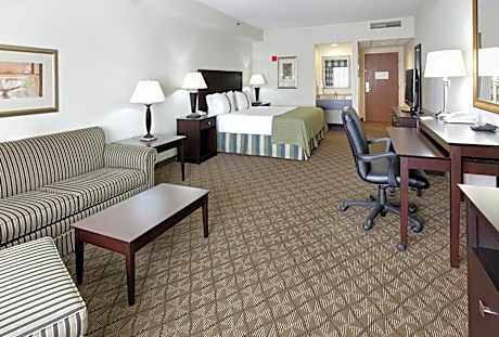 Premium King Room with Sofa Bed - Allergen Treated