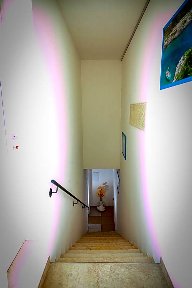 aestatisdomus
