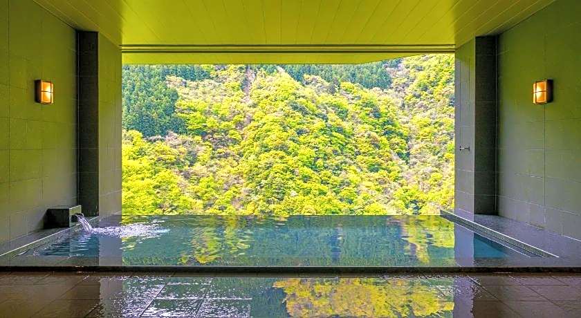 Wanoyado Hotel Iya Onsen Natural Hot Spring
