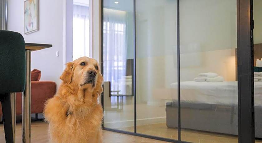 Hestia - Dimitressa 4