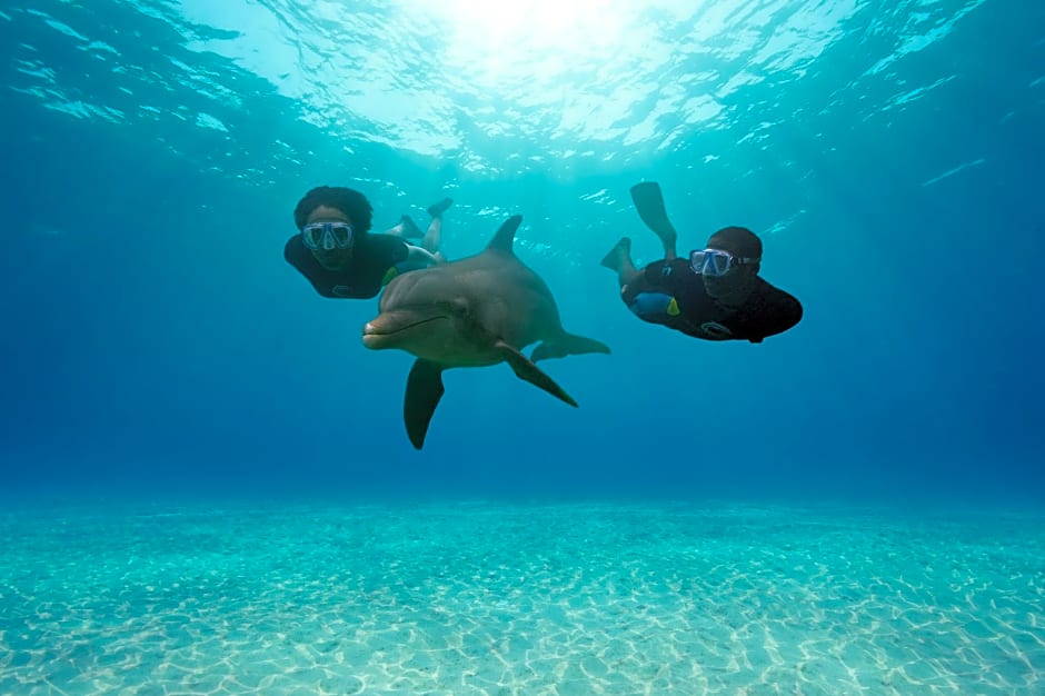 The Beach at Atlantis