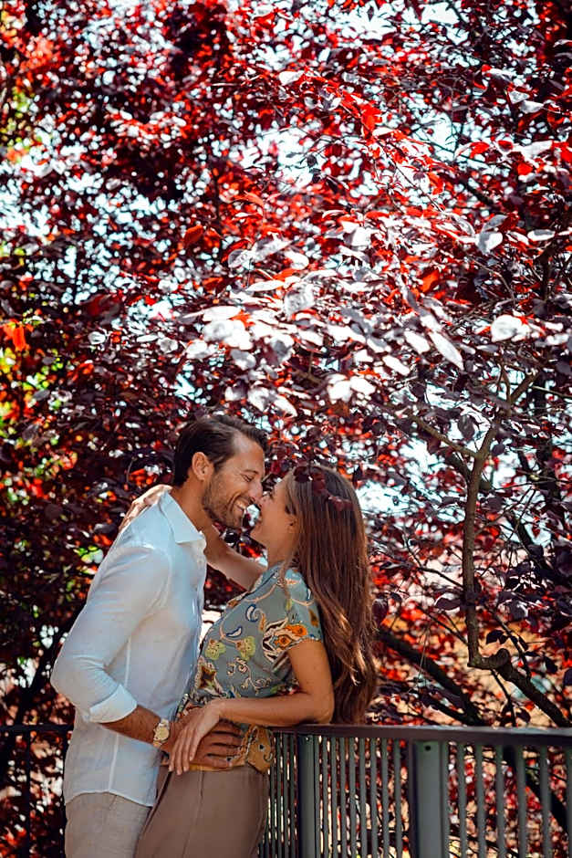 TreeLodgy, The Tree House