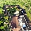 Seronera Wildlife Lodge