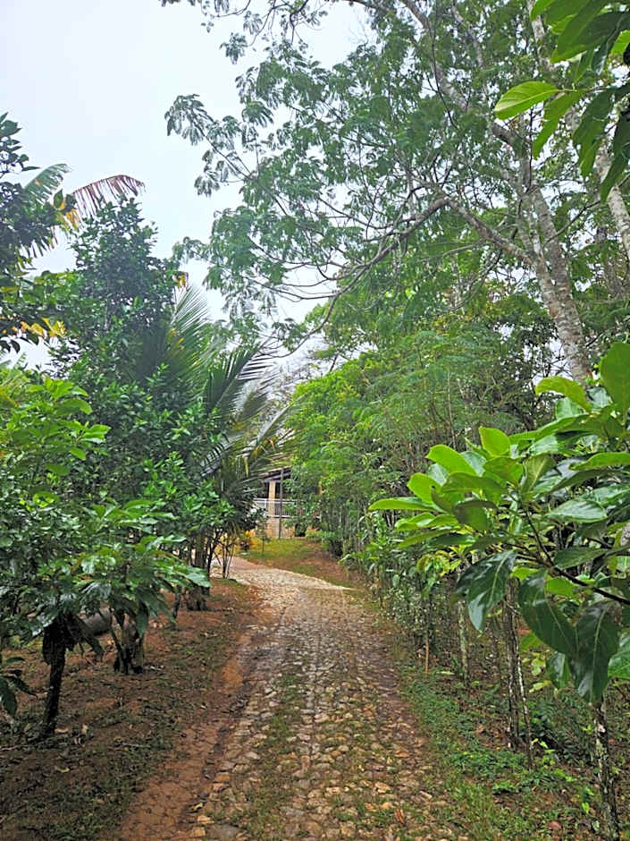 Casa com piscina em Guaramiranga - Chalé Verdelândia